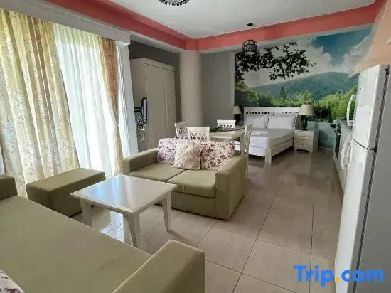 Vila Florika Hotel - Chambres