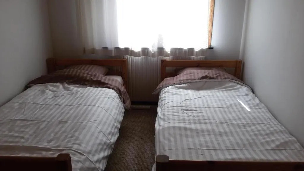 Deluxe Double room (twin beds)