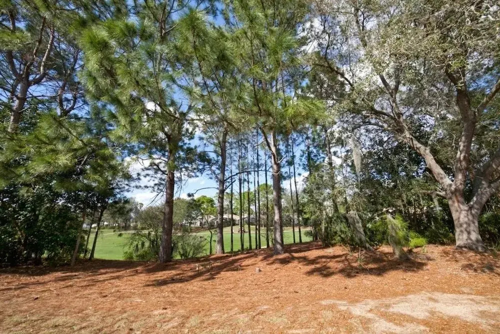 Amazing Conservation View From Pool- Game Room! 4 Bedroom Home by RedAwning