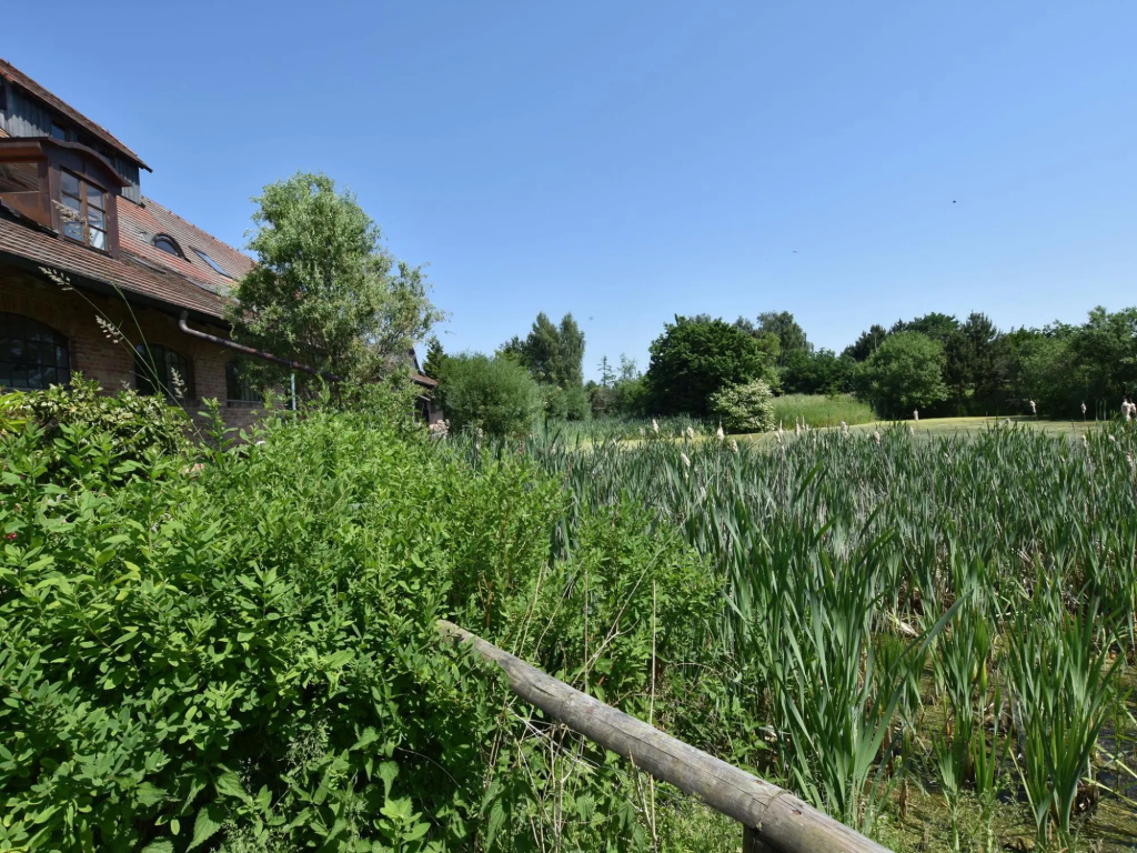 Buschenhagen Rustic Getaway