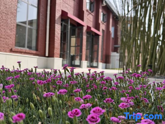 Luoyang Tangmenli Homestay (Luoyang Cross Street Old Town Center)