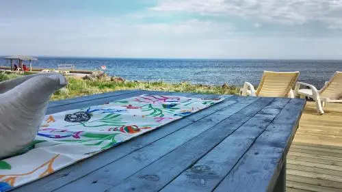 Beach & Waterfront