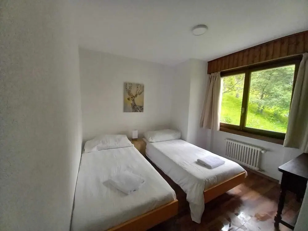 Classic Double room (twin beds)