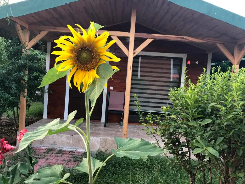 Çirali Almira Bungalow - Chambres