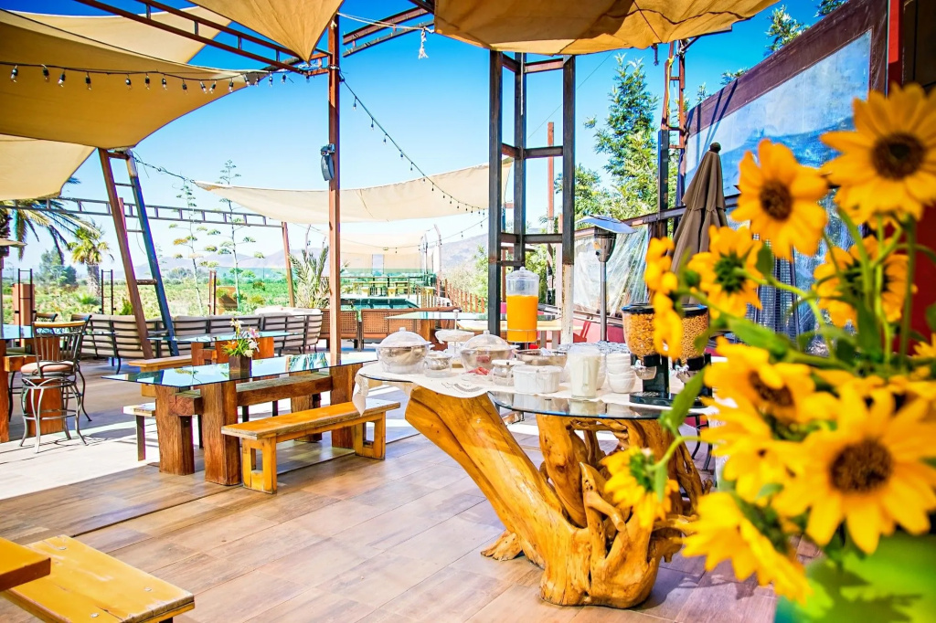 Hotel Boutique Valle de Guadalupe & Spa - Général