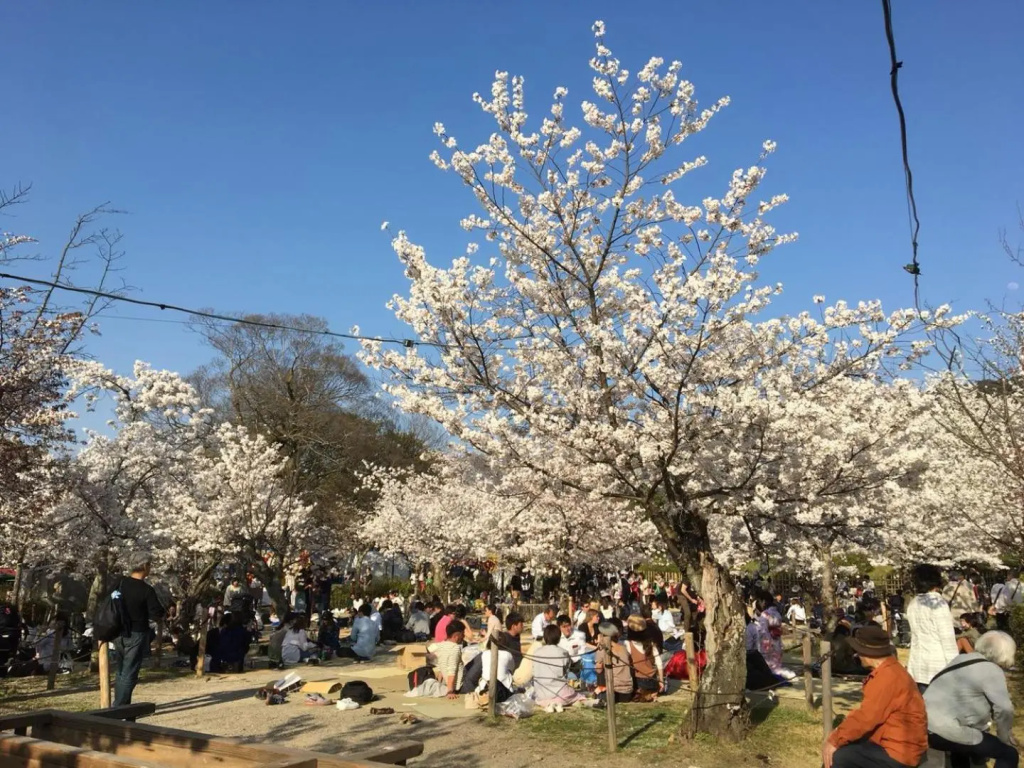 美築八坂 사진 14