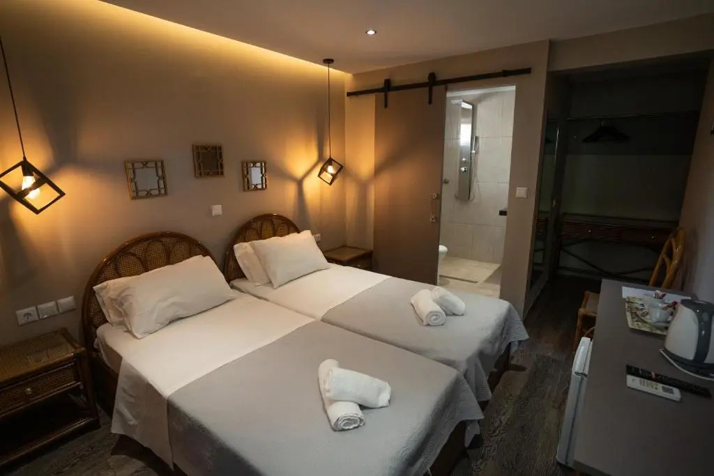 Standard Double room (twin beds)