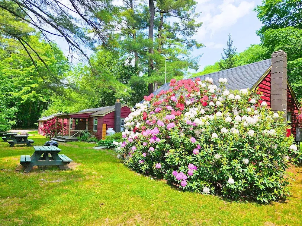 Phoenicia Lodge