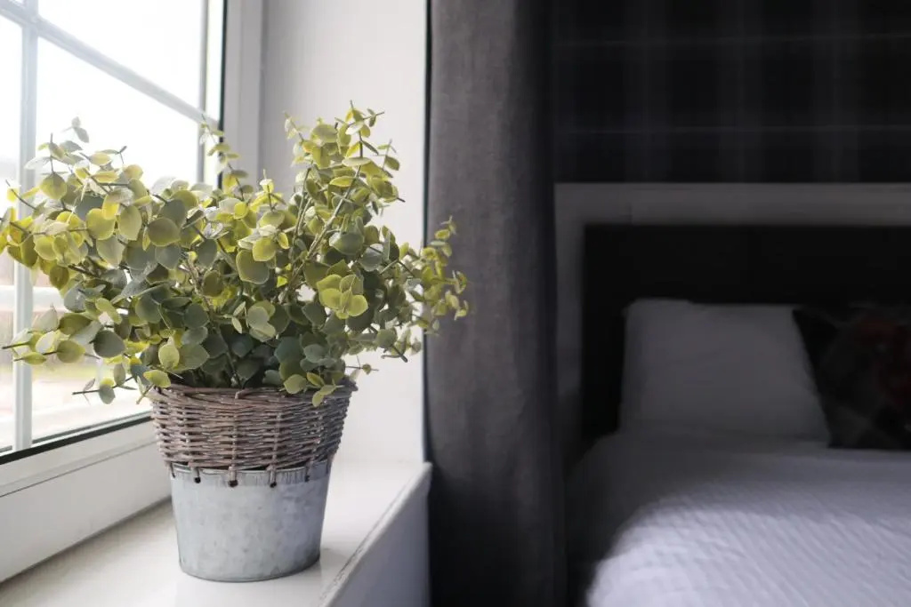 Harbourside Hotel - Chambres