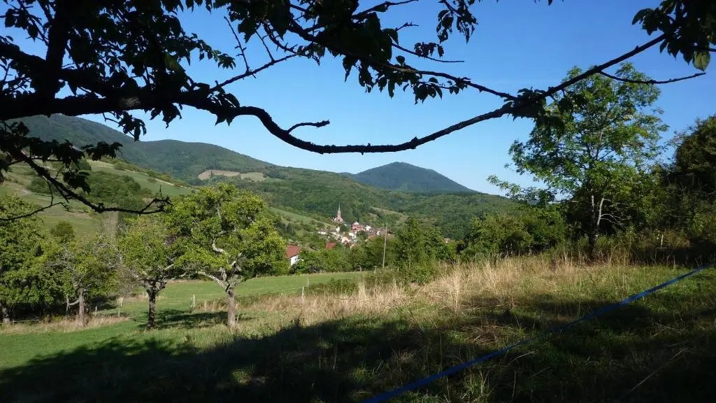 Voir la photo 4 — Gîte Schlitteur Et Sapiniere