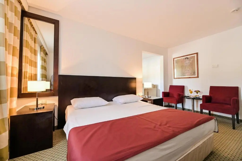 Standard Double room with city view (full double bed)
