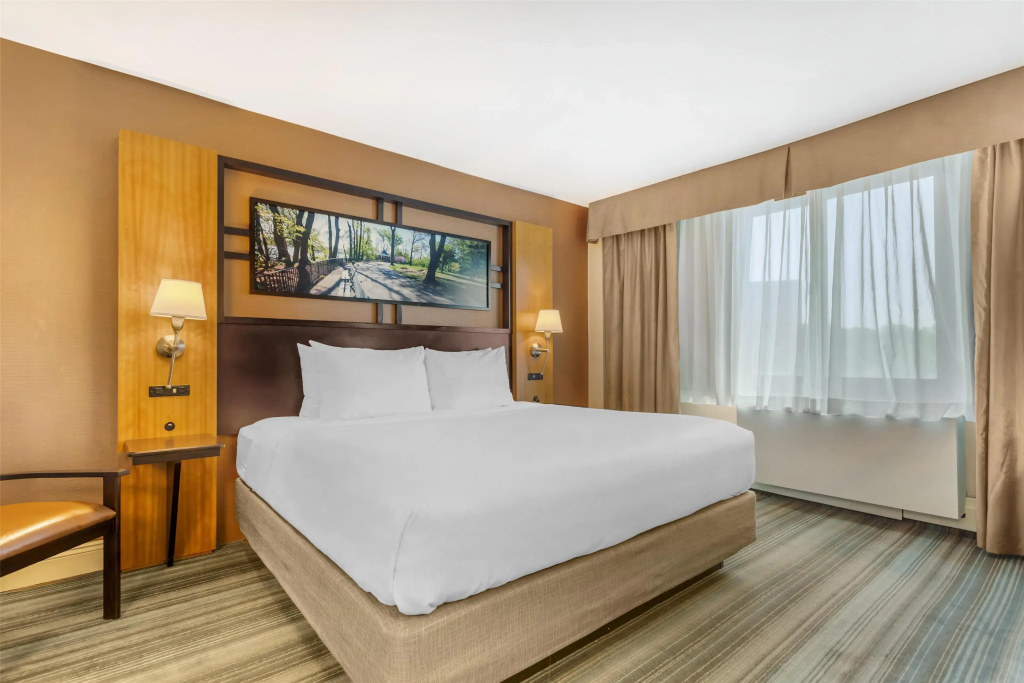 Standard Double room (full double bed)