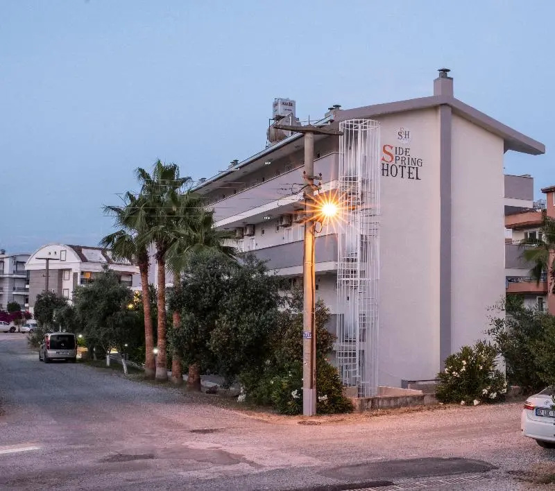 Side Spring Hotel — фото