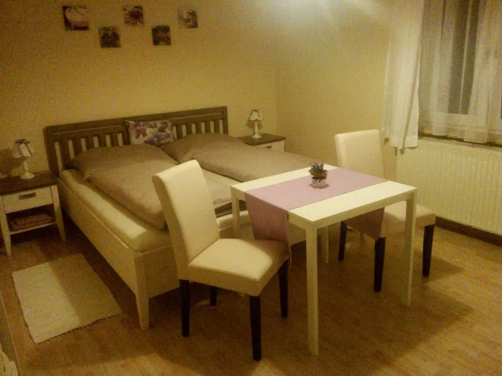 Standard Double room with mountain view (full double bed)