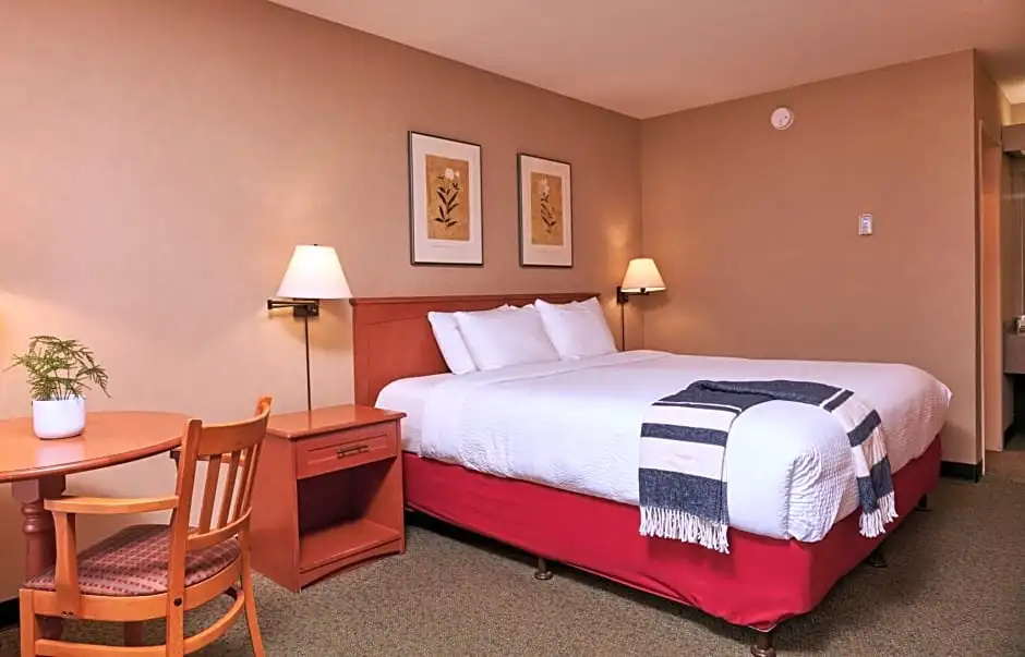 Double Suite (full double bed)