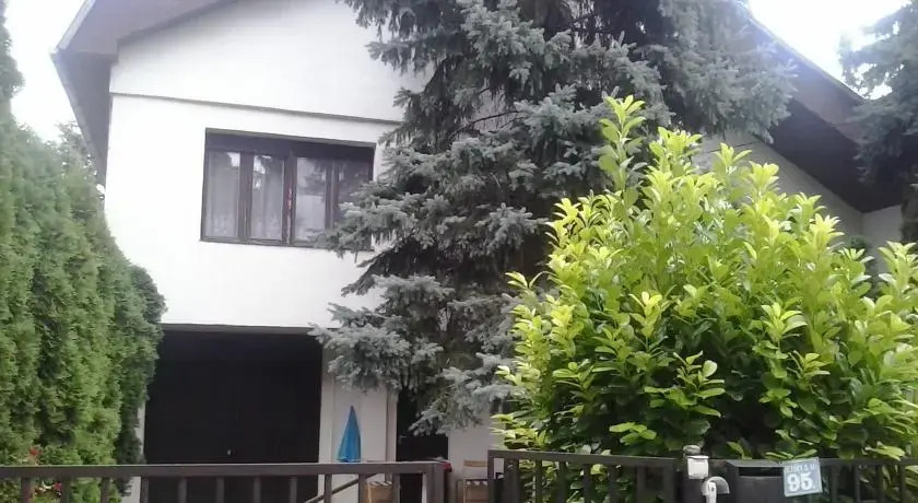 Ibolya-ház - фото 7