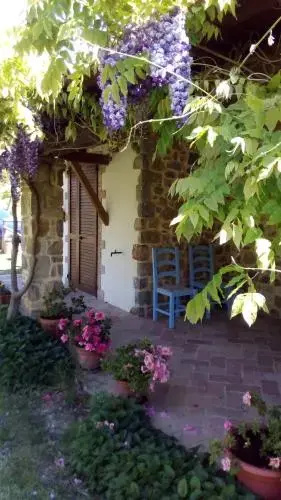 Agriturismo La Chiocciola - Général