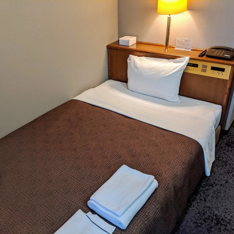 Standard Single room with city view (single bed)