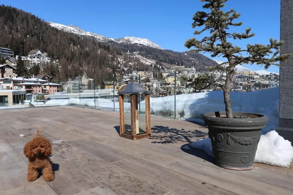 Silver Apartments St Moritz
