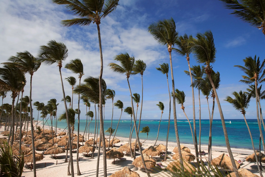 Zel Punta Cana, Баваро, Домініканська Республіка мініатюра 28