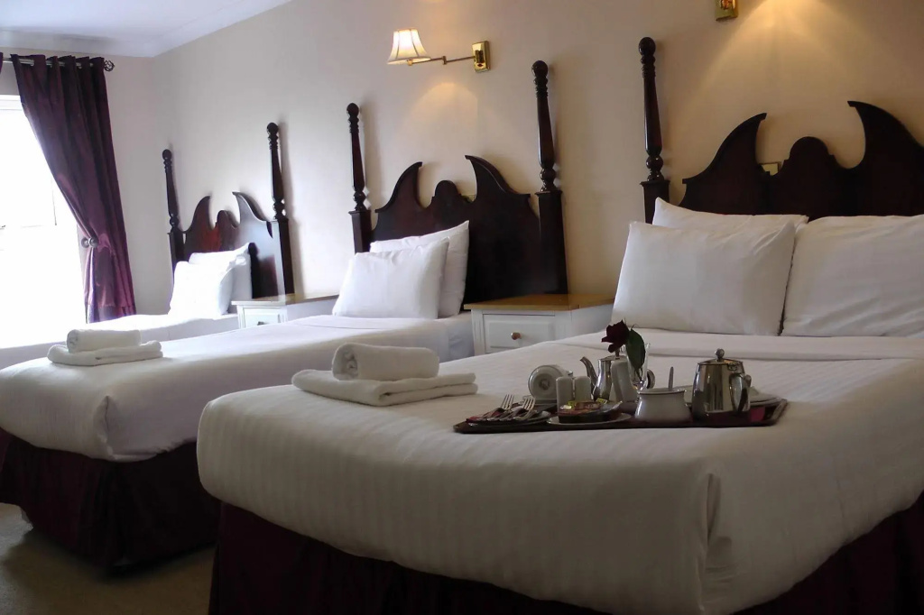 Shamrock Inn Hotel - Général
