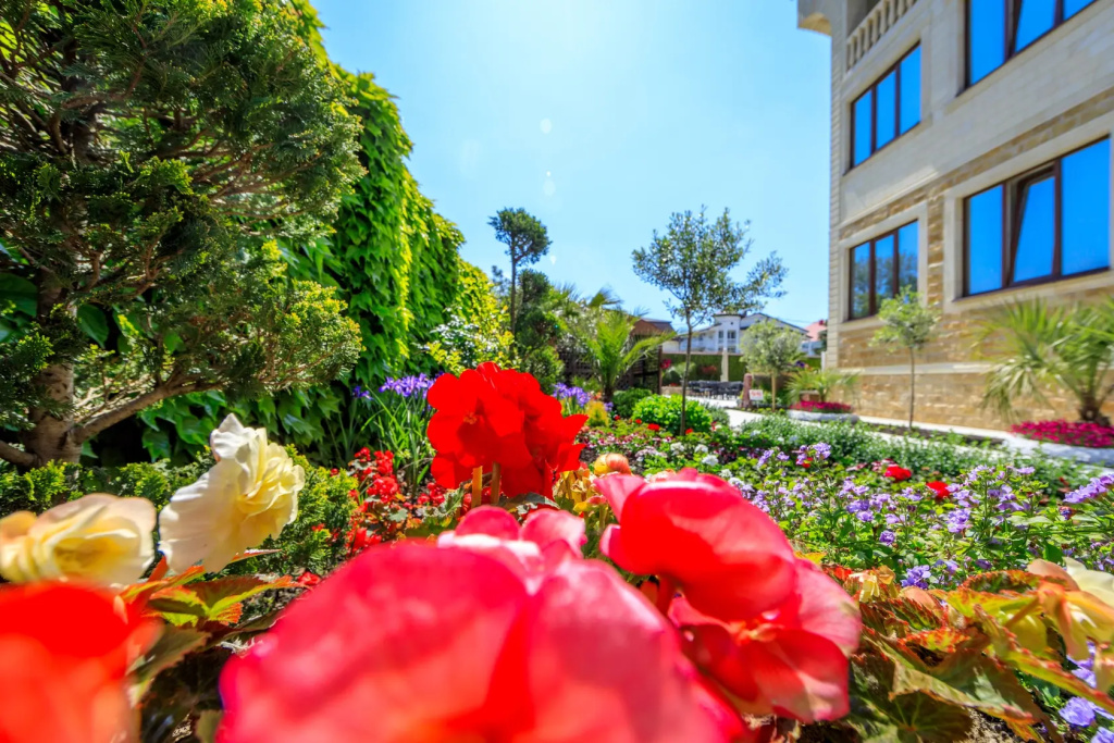 Hotel photo 49