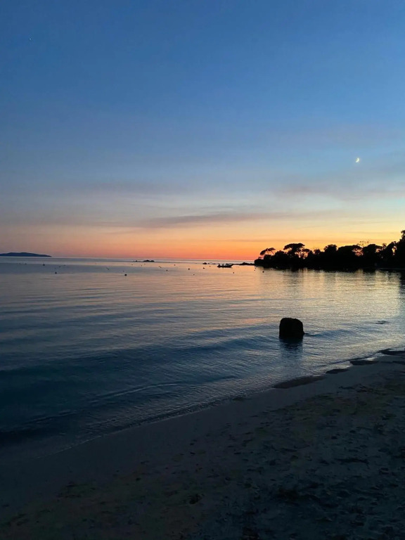 Palm Beach — фото 5