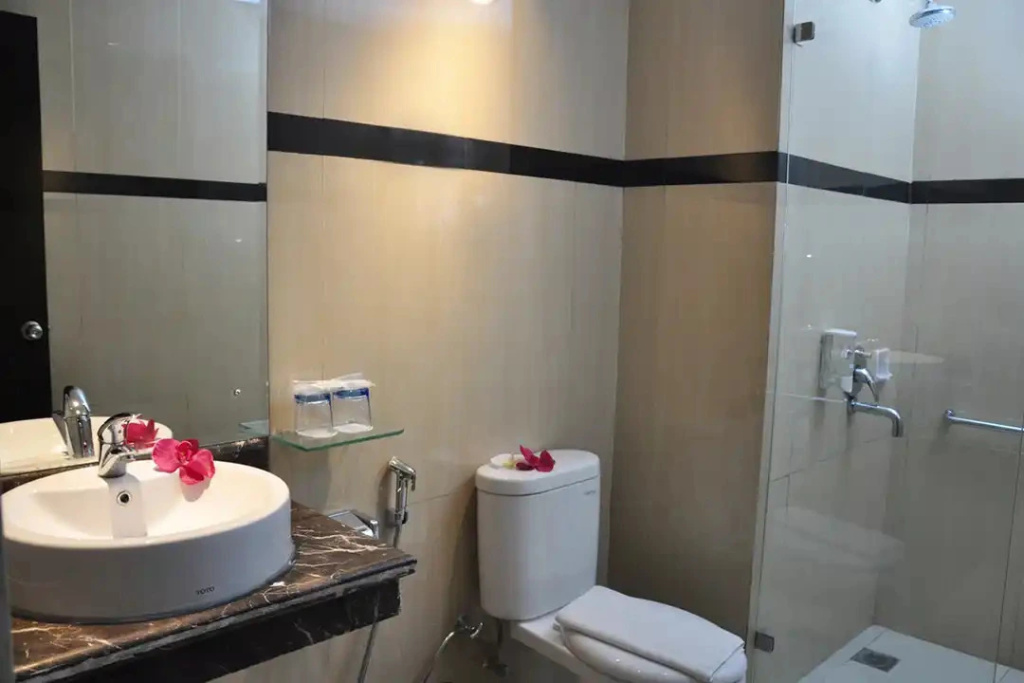 Superior Double room (full double bed)