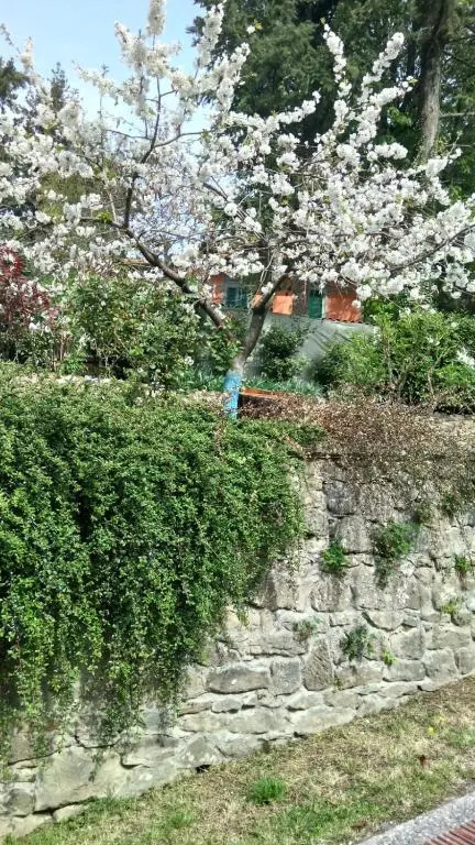 Casa Cecconi (On The Hills Of Florence)