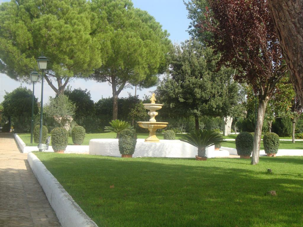 El Pilar - Général