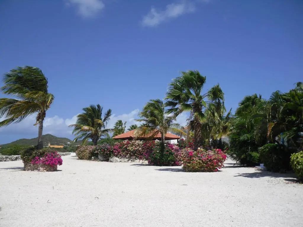 Marazul Dive resort - Chambres