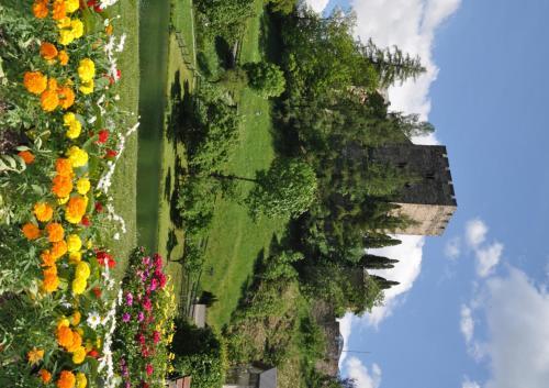 Image 15