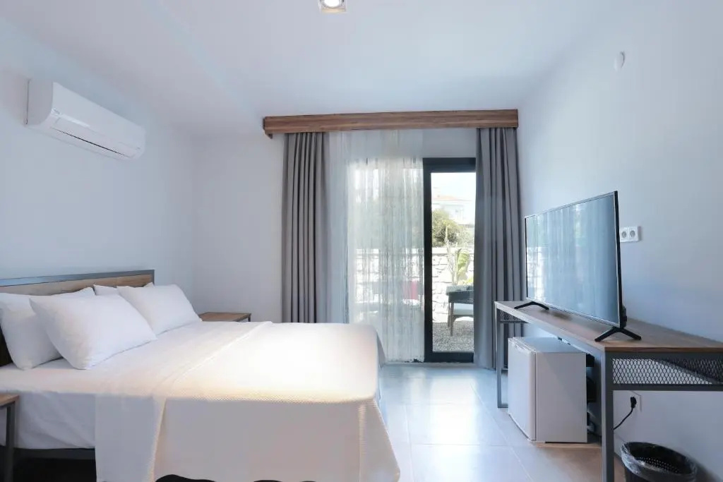 Deluxe Double room (full double bed)