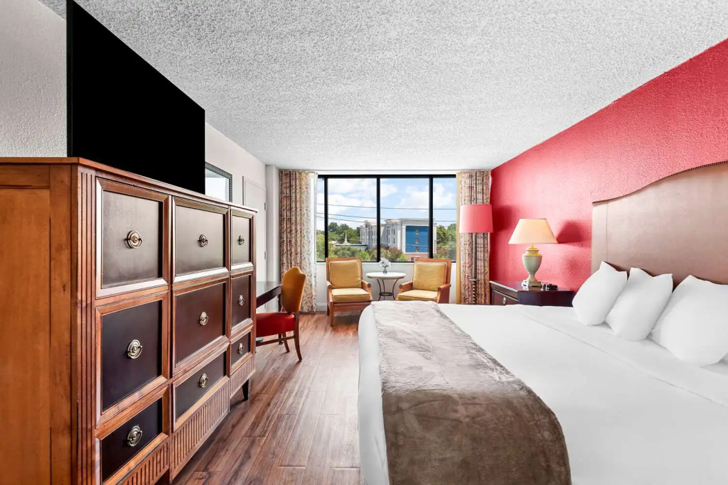 Standard Double room with pool view (full double bed)