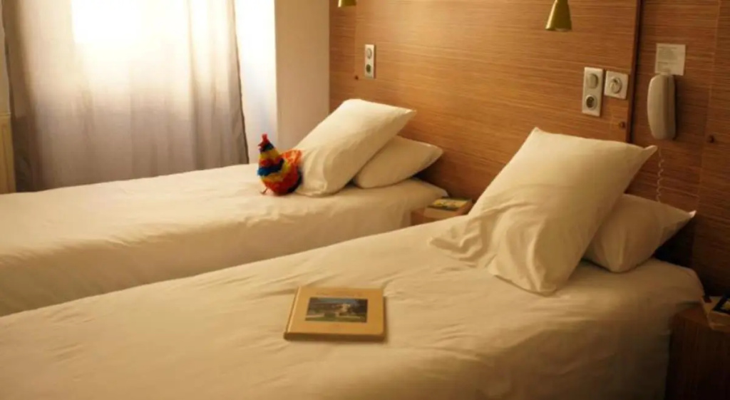 Standard Double room (twin beds)