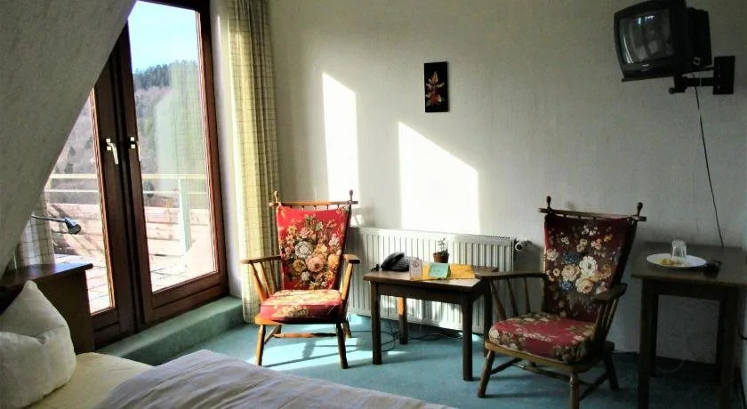 Hoffmanns Hotel Waldfrieden Garni - Général