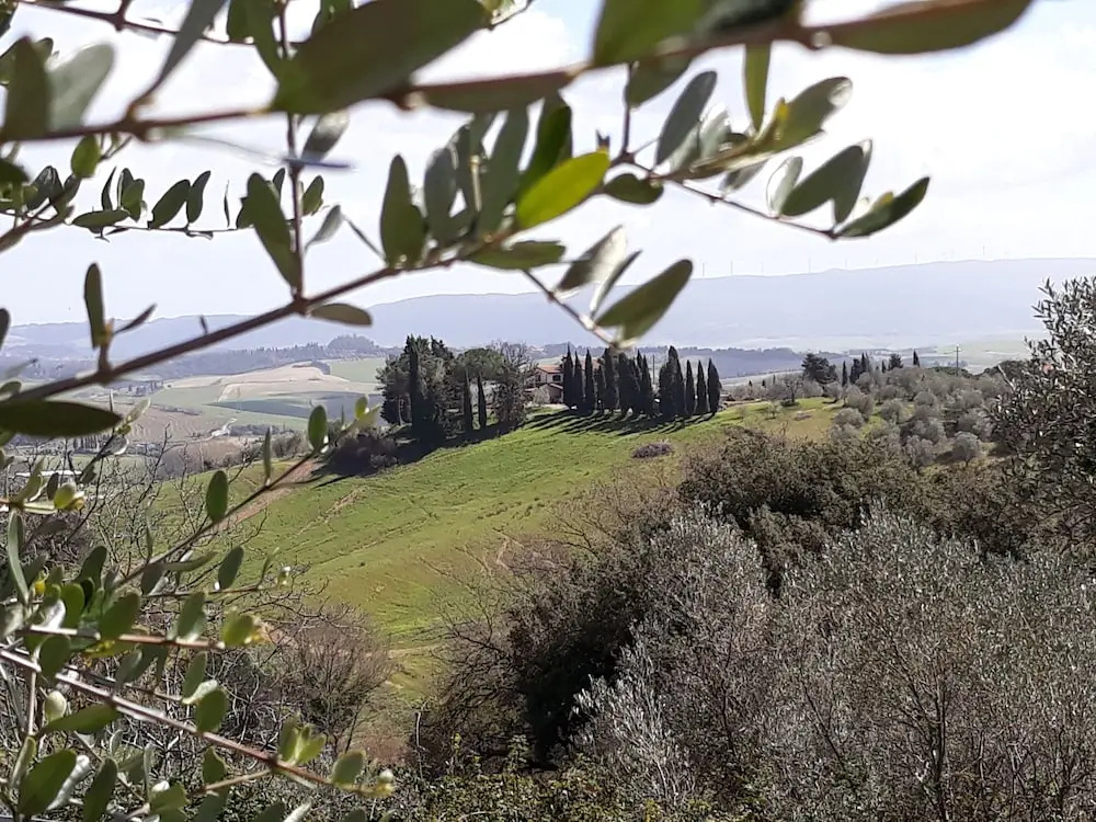 B&B La Casina di Parrana
