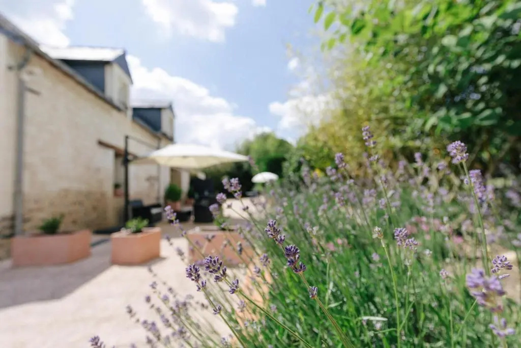 Violette et Muguet