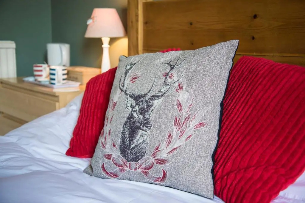 Standard Double room (full double bed)