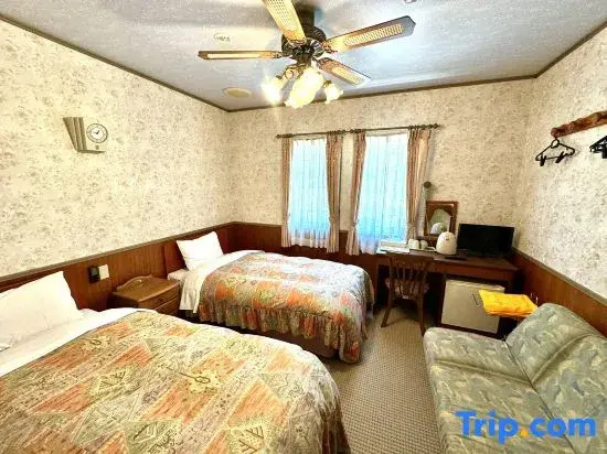 Superior Double room (twin beds)