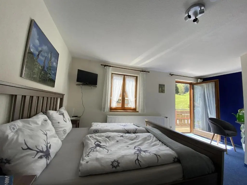Standard Double room with balcony (full double bed)