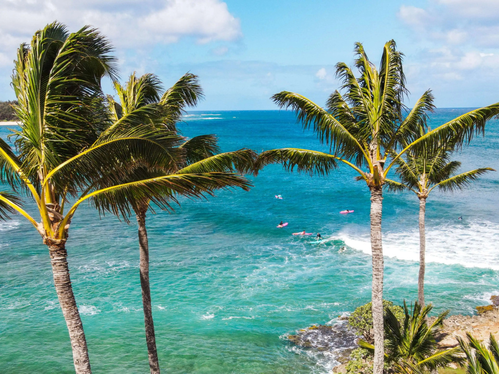 Beach & Waterfront
