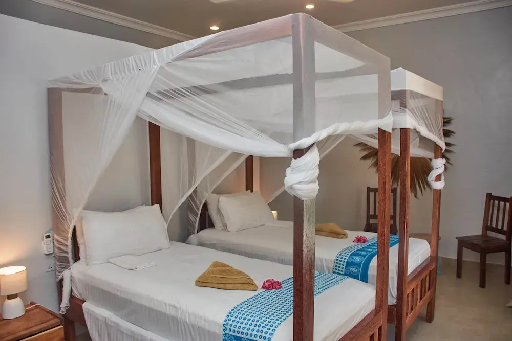 Deluxe Double room (twin beds)