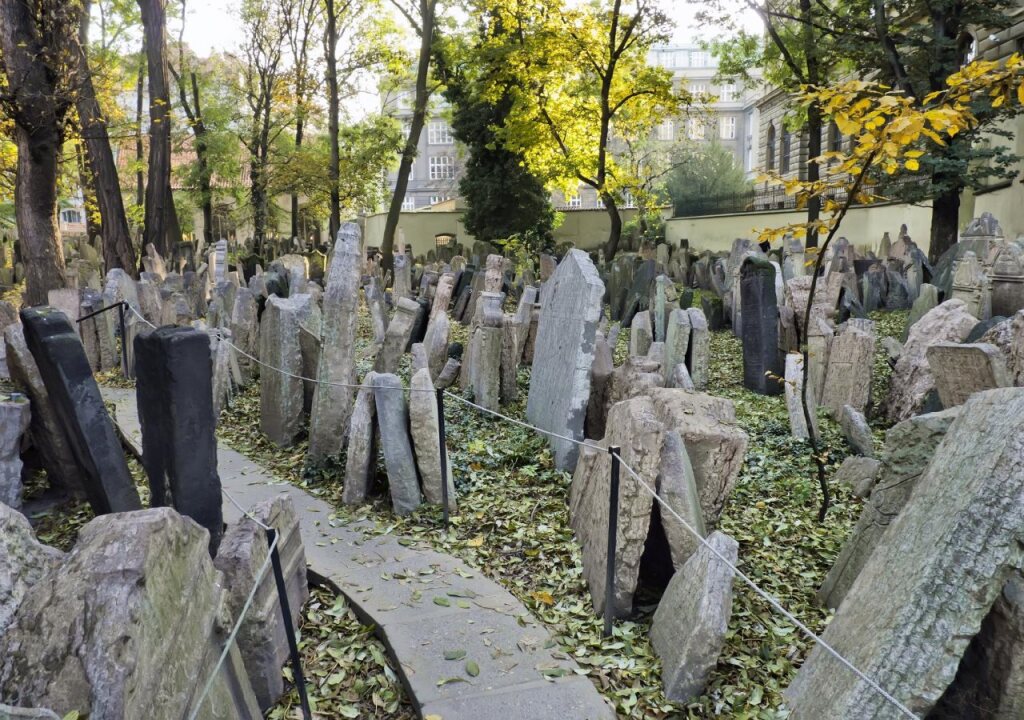 Image 13