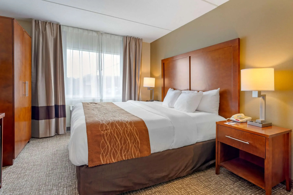 Comfort Inn & Suites Wilkes Barre - Arena - Général