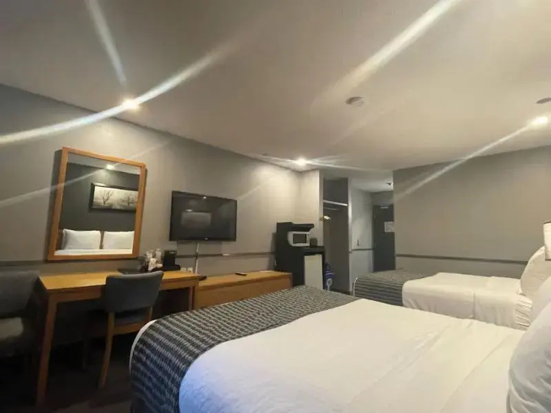 Quadruple Suite