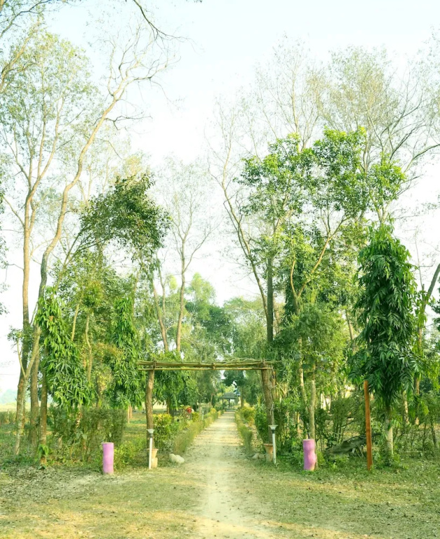 Nepal Wildlife Resort - Chambres