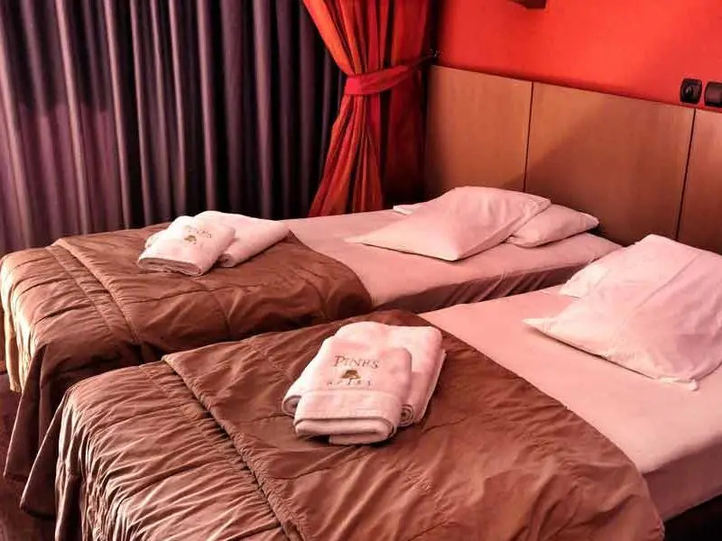 Standard Double room (twin beds)