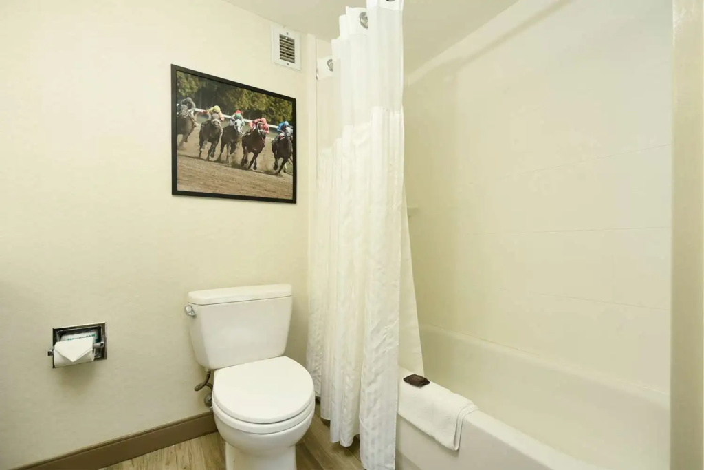 Hilton Garden Inn Saratoga Springs - Chambres