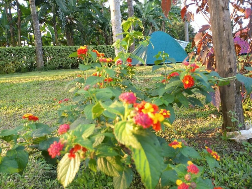 Nature Flows Eco-farm Cottage & campsite